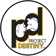Project Destiny